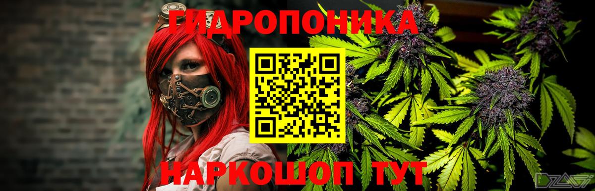 Бошки Шишки Amnesia  МАРИХУАНА индика  Заводоуковск  Бошки марихуана Amnesia  Вход с VPN  Канабис марихуана 